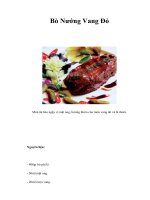Tài liệu Bò Nướng Vang Đỏ pdf