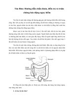 Tài liệu Giáo trình Táo Bón: Hướng dẫn chẩn đoán, điều trị và triệu chứng báo động nguy hiểm doc