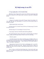 Tài liệu Kỹ thuật ương cá con (P3) doc