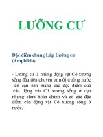 Tài liệu lưỡng cư doc