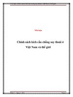 Tiểu luận Chính sách kích cầu chống suy thoái ở Việt Nam và thế giới