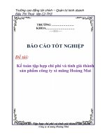 Tài liệu Báo cáo tốt nghiệp 