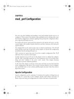 Tài liệu Practical mod_perl-CHAPTER 4:Mod_perl Configuration docx