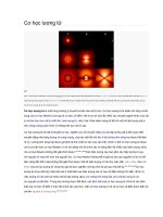 Cơ học lượng tử 