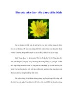 Tài liệu Hoa cúc mùa thu - tiên dược chữa bệnh pdf