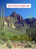 Tài liệu Bài tập trắc nghiệm ADN pdf