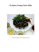 Tài liệu Ốc Bươu Nướng Nước Mắm ppt