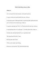 Tài liệu Đình chỉ hoạt động trường cao đẳng doc