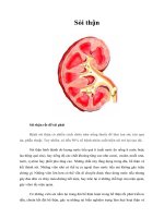 Tài liệu Sỏi thận doc
