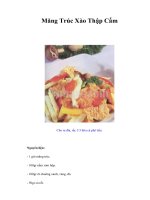 Tài liệu Măng Trúc Xào Thập Cẩm doc