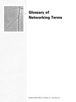 Tài liệu Glossary of Networking Terms docx
