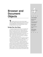 Tài liệu Javascript bible_ Chapter 4 docx