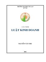 Tài liệu Giáo trình Luật kinh doanh doc