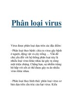 Tài liệu Phân loại virus Virus được phân loại dựa trên các đặc điểm: - Phân loại theo ppt