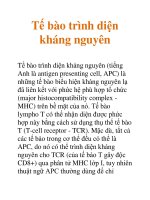 Tài liệu Tế bào trình diện kháng nguyên pptx