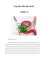 Tài liệu Ung thư tiền liệt tuyến ( Phần 1) pdf