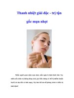 Tài liệu Thanh nhiệt giải độc - trị tận gốc mụn nhọt ppt