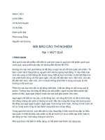 Tài liệu MUT QUA DUA pptx