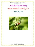 Tài liệu Chủ đề: Con côn trùng - Đề tài: Bé biết con côn trùng nào? - Nhóm lớp: Lá pdf