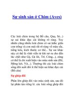 Tài liệu Sự sinh sản ở Chim (Aves) ppt