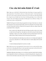 Tài liệu Các câu hỏi môn Kinh tế vĩ mô pdf
