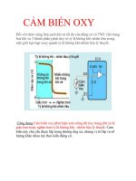 Tài liệu Cảm biến oxy pptx
