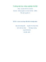 Tài liệu Tiểu luận: 