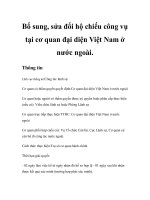 Tài liệu Bổ sung, sửa đổi hộ chiếu công vụ tại cơ quan đại diện Việt Nam ở nước ngoài ppt