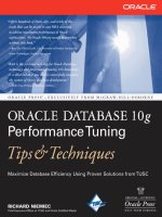 Tài liệu McGraw.Hill.Oracle.Database.10g.Performance.Tuning.Tips.and.Techniques.Jul.2007 doc