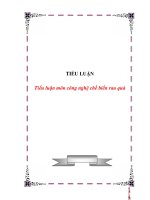 Tài liệu Tiểu luận môn công nghệ chế biến rau quả pdf