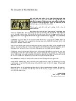 Tài liệu Từ nhà quản lý đến nhà lãnh đạo doc