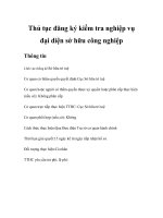 Tài liệu Thủ tục đăng ký kiểm tra nghiệp vụ đại diện sở hữu công nghiệp pdf