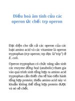 Tài liệu Điều hoà âm tính của các operon ức chế: trp operon docx
