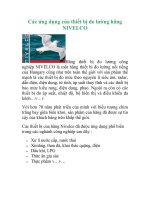 Tài liệu Các ứng dụng của thiết bị đo lường hãng NIVELCO pdf