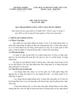 Tài liệu Tiêu chuẩn ngành 04 TCN 89-2007 pdf