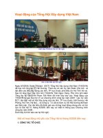 Tài liệu Hoạt động của Tổng Hội Xây dựng Việt Nam doc