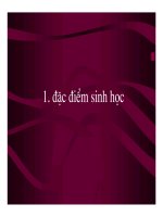 Tài liệu Ký sinh trùng - Đại cương nấm y học (Phần 2) pdf