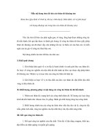 Tài liệu Mẫu nội dung tóm tắt báo cáo thăm dò khoáng sản docx