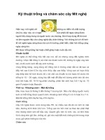 Tài liệu Kỹ thuật trồng và chăm sóc cây Mít nghệ docx