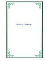 Tài liệu Grammar Questions docx
