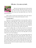 Tài liệu Mẫu đơn - Cây cảnh, cây thuốc docx