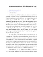 Tài liệu Bệnh vàng lùn hại lúa tại đồng bằng sông Cửu Long ppt