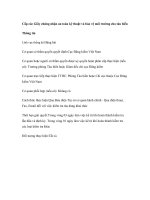 Tài liệu Cấp các Giấy chứng nhận an toàn kỹ thuật và bảo vệ môi trường cho tàu biển pdf