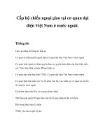 Tài liệu Cấp hộ chiếu ngoại giao tại cơ quan đại diện Việt Nam ở nước ngoài pdf