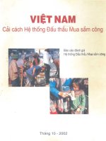 Việt Nam cải cách hệ thống đấu thầu mua sắm công pdf