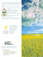 Plant biotechnology in Canada