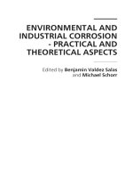 ENVIRONMENTAL AND INDUSTRIAL CORROSION - PRACTICAL AND THEORETICAL ASPECTS potx