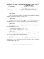 Đề thi HSG lớp 12 năm 2013 môn Lịch sử vòng 2 potx