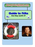 Guide to IVAs Are they worth it? doc