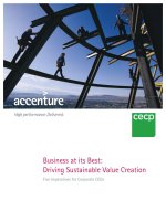 Business at its Best: Driving Sustainable Value Creation pptx